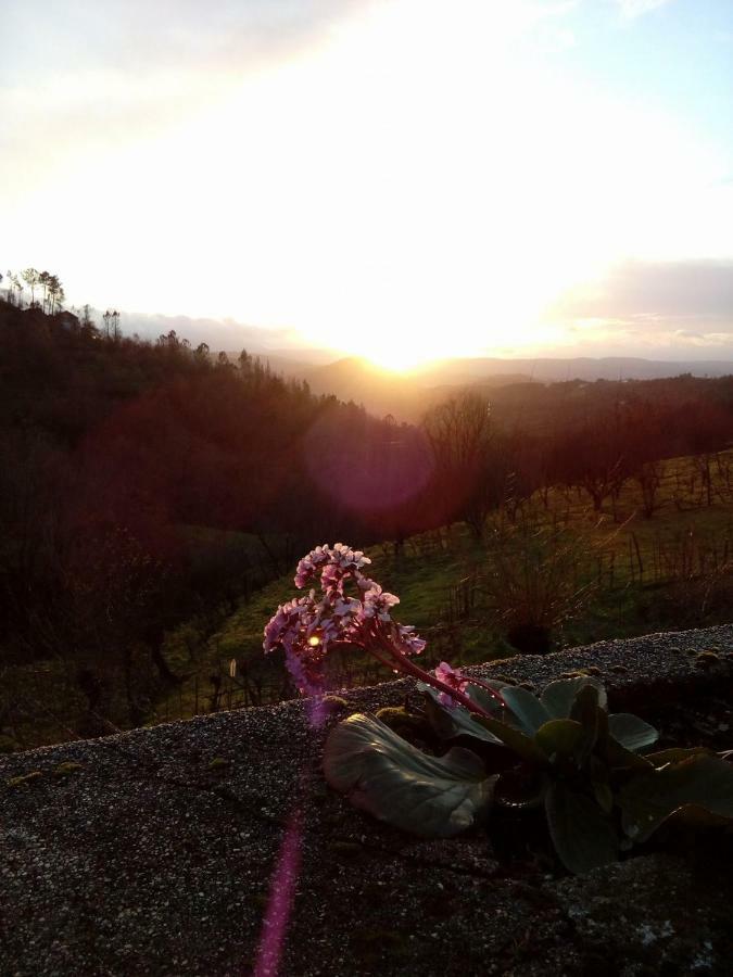 Bela Vista Alqueve - Traditional Stone House And Private Pool * Arganil